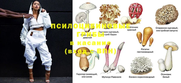 МДПВ Алексеевка