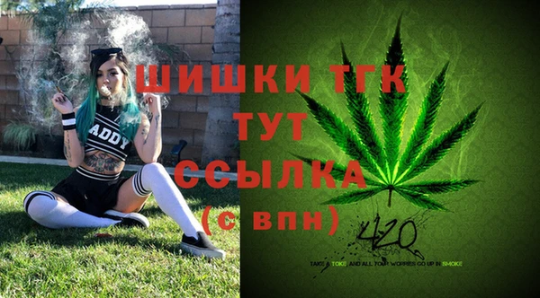 МДПВ Алексеевка